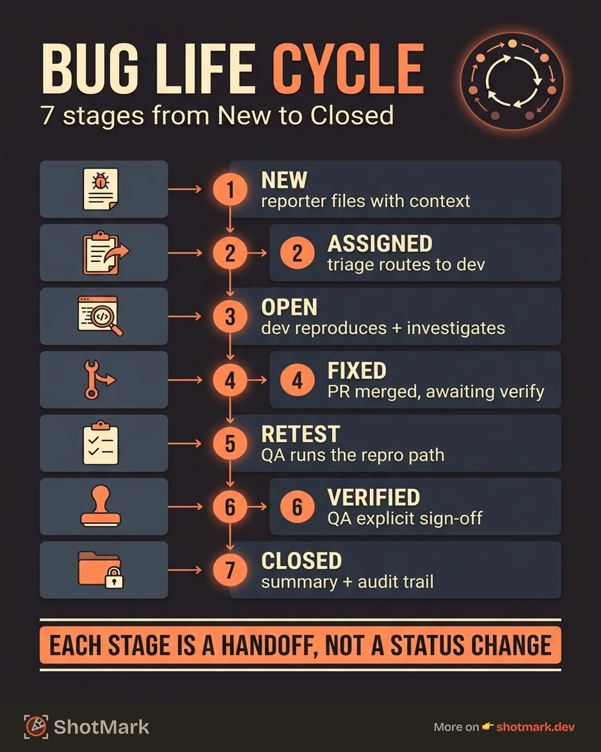 Bug Life Cycle Explained in 7 Stages infographic