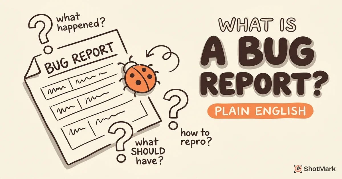 What Is a Bug Report: A Plain Language Guide